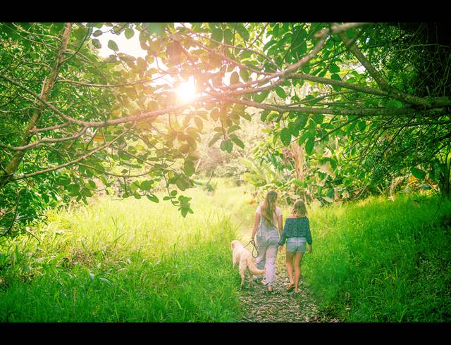 452M² VACANT LAND FOR SALE IN SHEFFIELD BEACH